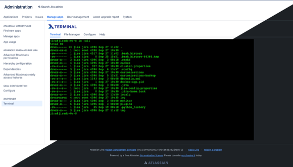 Access your server using the terminal console