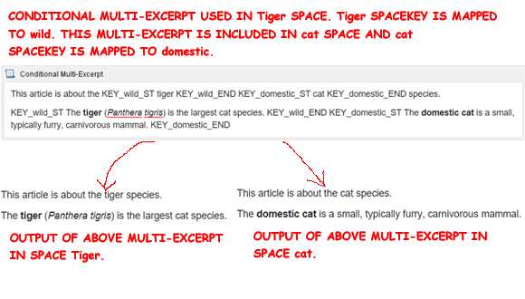 Reuse the same excerpt to show different content