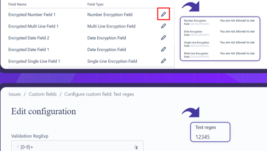 regex validator custom field