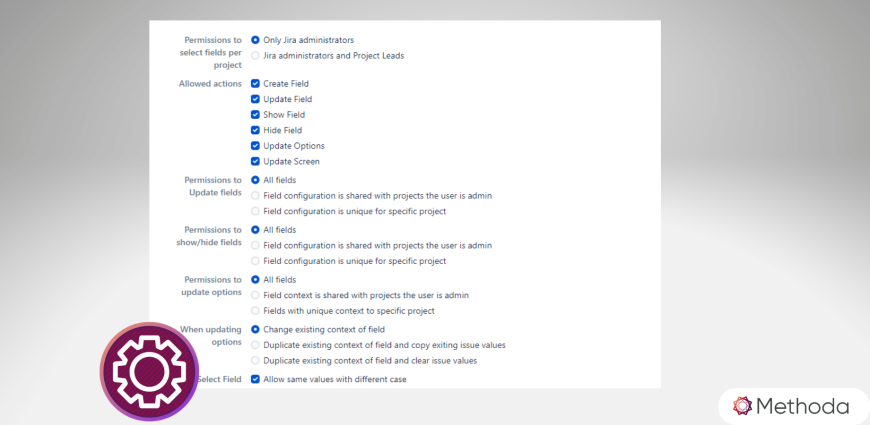 Jira Admin can choose what permission to grant