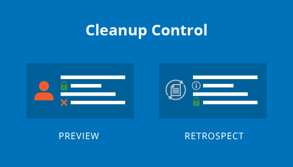 Preview & Retrospect: Cleanup Control