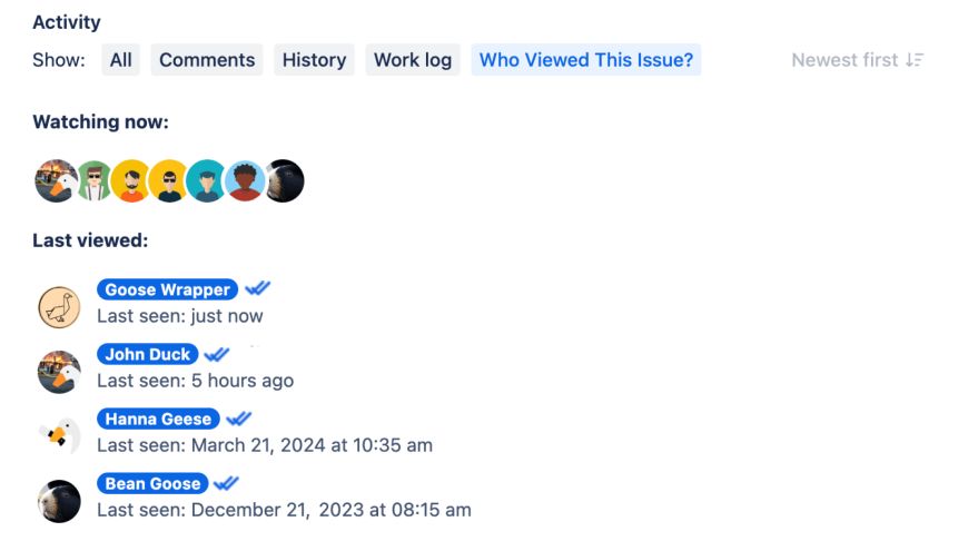 Who is looking and viewing your jira issues