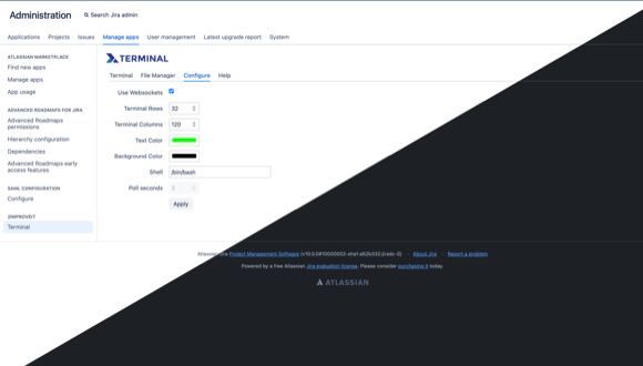 Configure the look and feel of the terminal