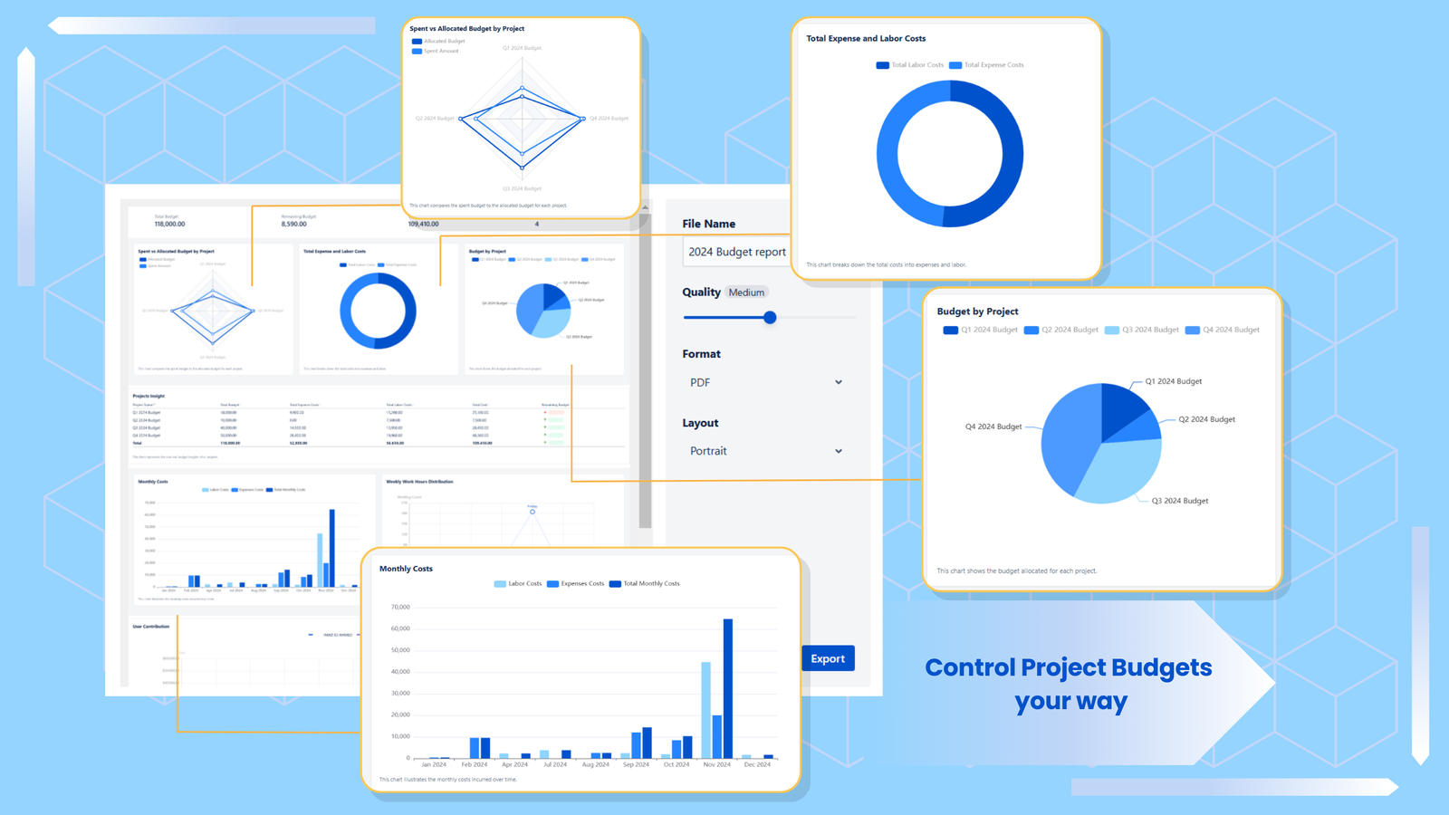 Control project budgets your way