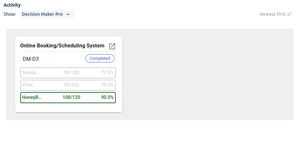 Viewing a related decision from within an Issue
