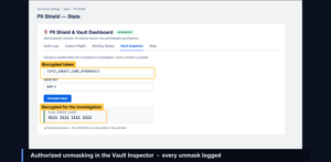 Vault Inspector — authorized, audited token unmasking.