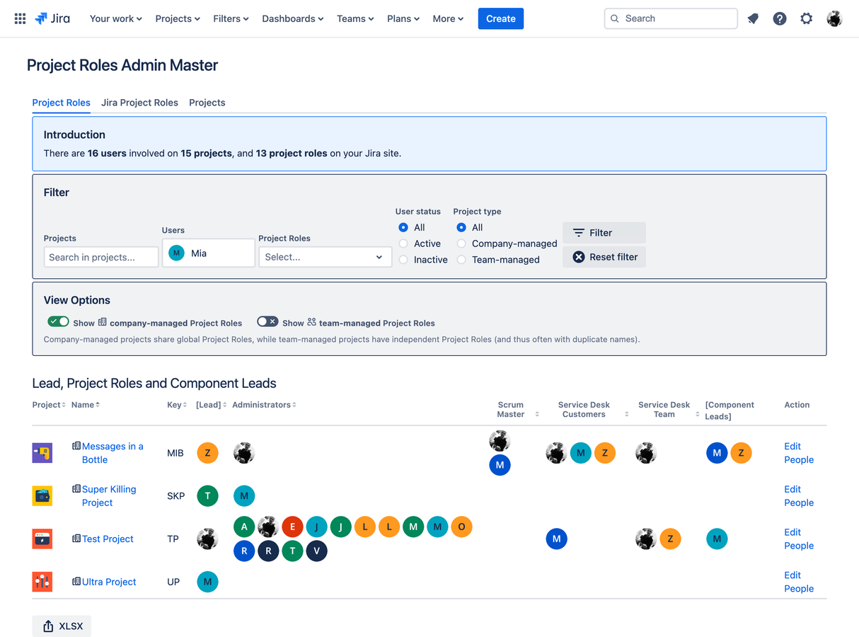 Global view of project roles usage. You can filter by project, user, project role, status and project type. Export in Excel format.