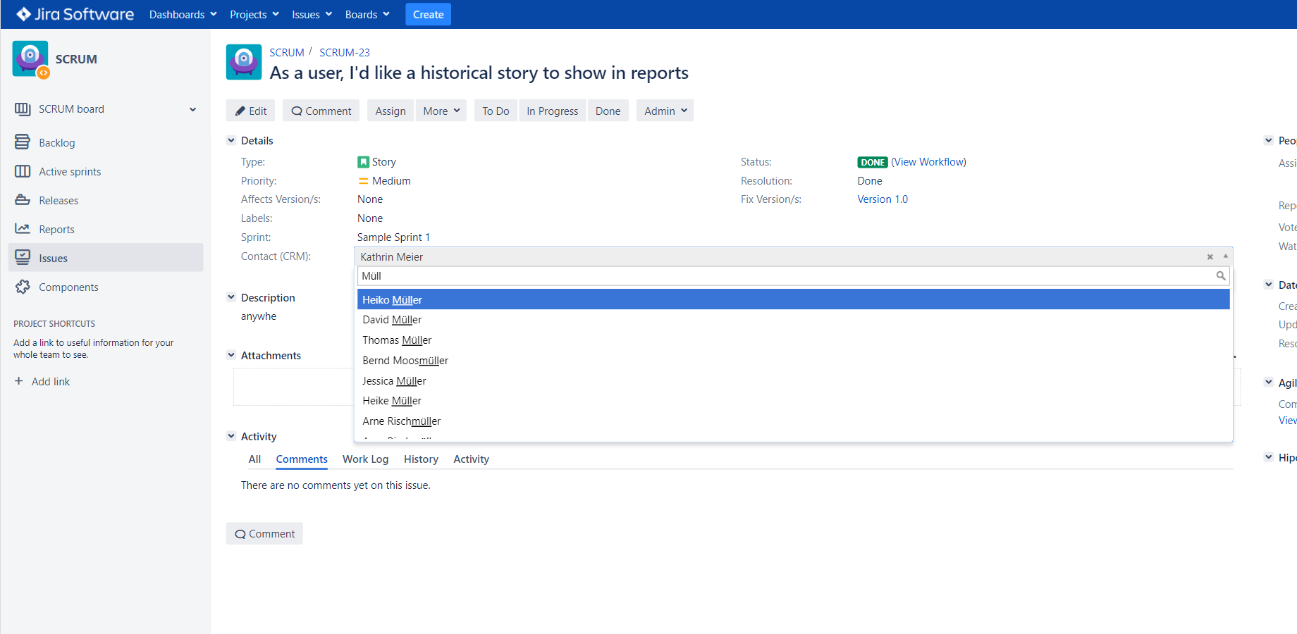 Jira Details view with custom CRM-Entity