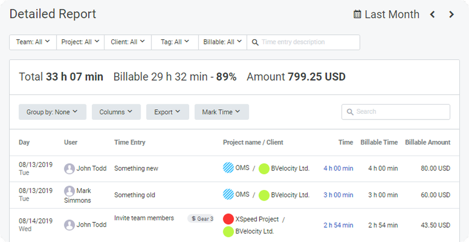 TMetric detailed report