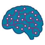 Relativity-Hierarchical Issue Structures