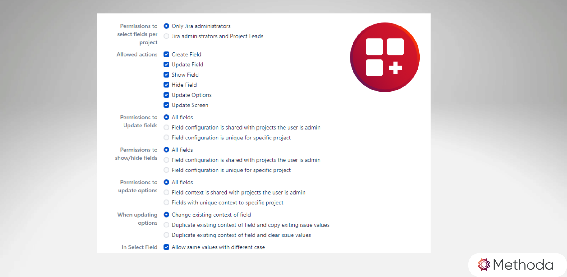 Jira Admin can choose what permission to grant
