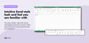 Intuitive Excel-style look and feel you are familiar with