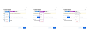 Supporting multiple display options
