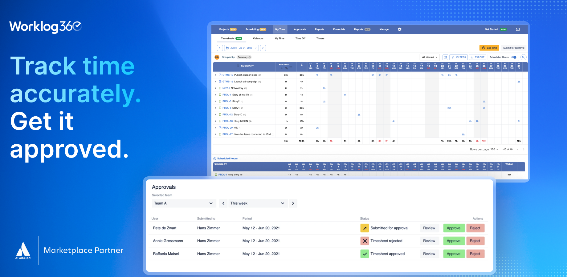 Project Portfolio View