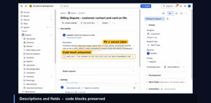 Issue field & description redaction — code blocks preserved.