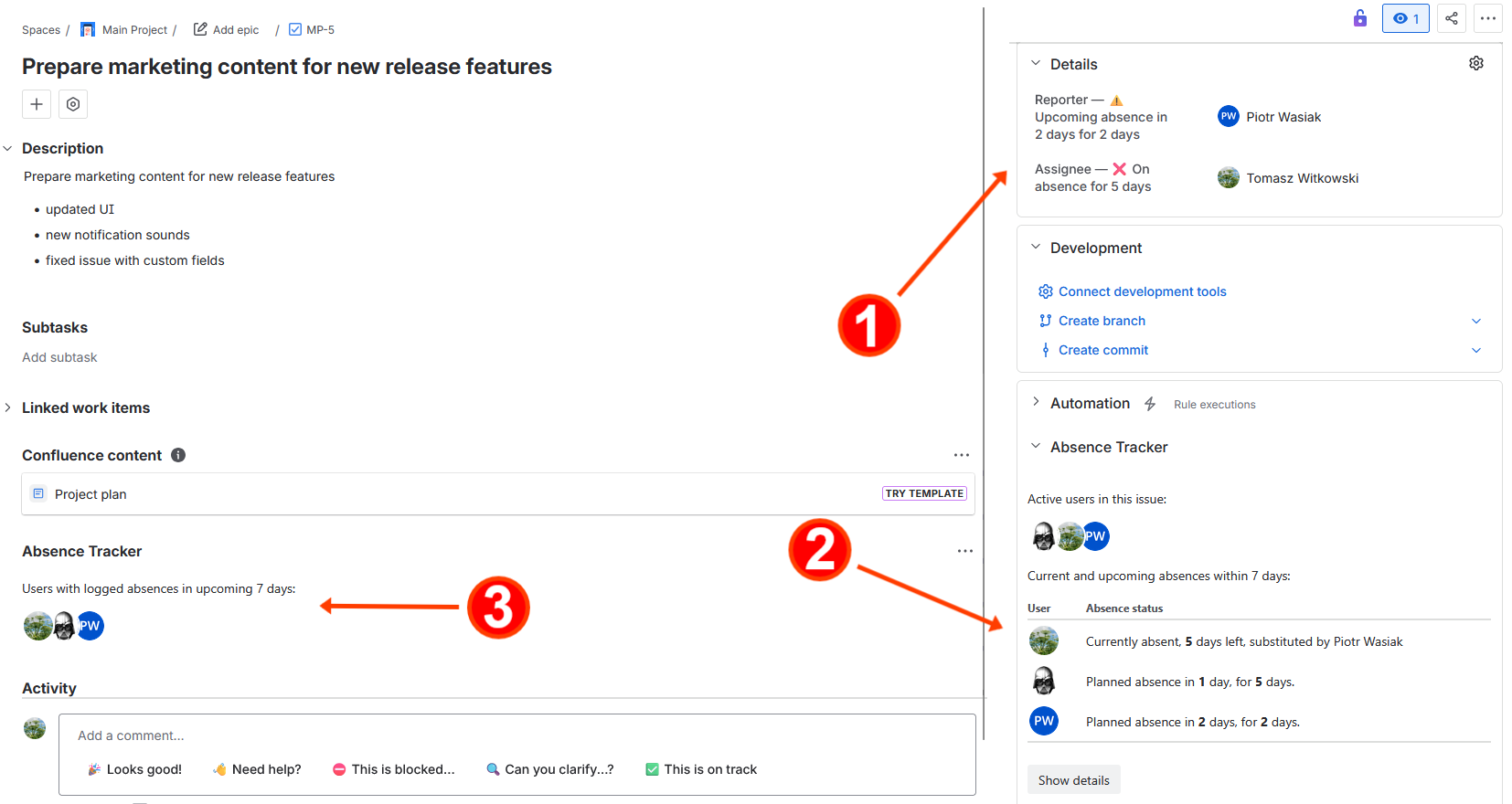 Issue view