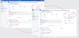 Anonymize user information in issue view