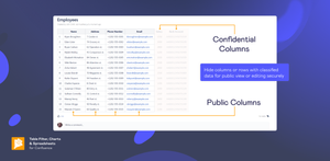 Hide table columns or rows with classified data for public view or editing securely