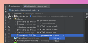 Inspect the changed files in the repository view to know if they will merge cleanly with your own local changes before you pull.
