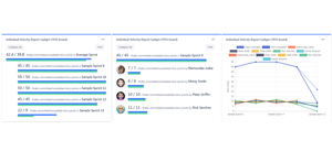 Sprint velocity chart, individual velocity chart, velocity per user