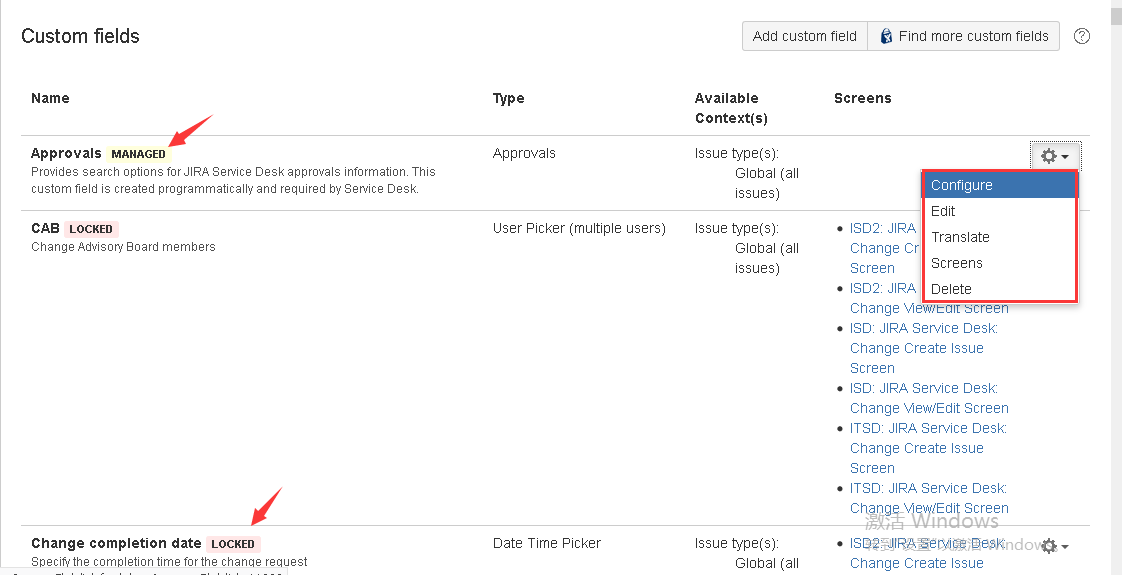 The user can configure this custom field