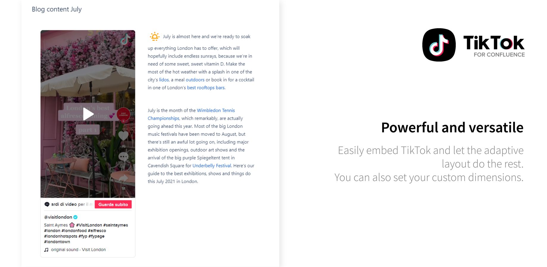 Easily embed TikTok and let the adaptive layout do the rest.
You can also set your custom dimensions.
