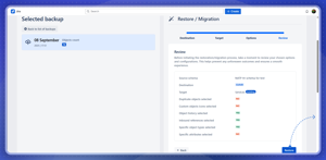 Insight Assets Backup & Migration: Restore Review