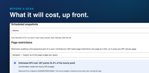 Before a scan runs: when the schedule runs next, what page restrictions will cost against the shared hourly API pool, and how many snapshots are kept.