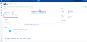 Issue view