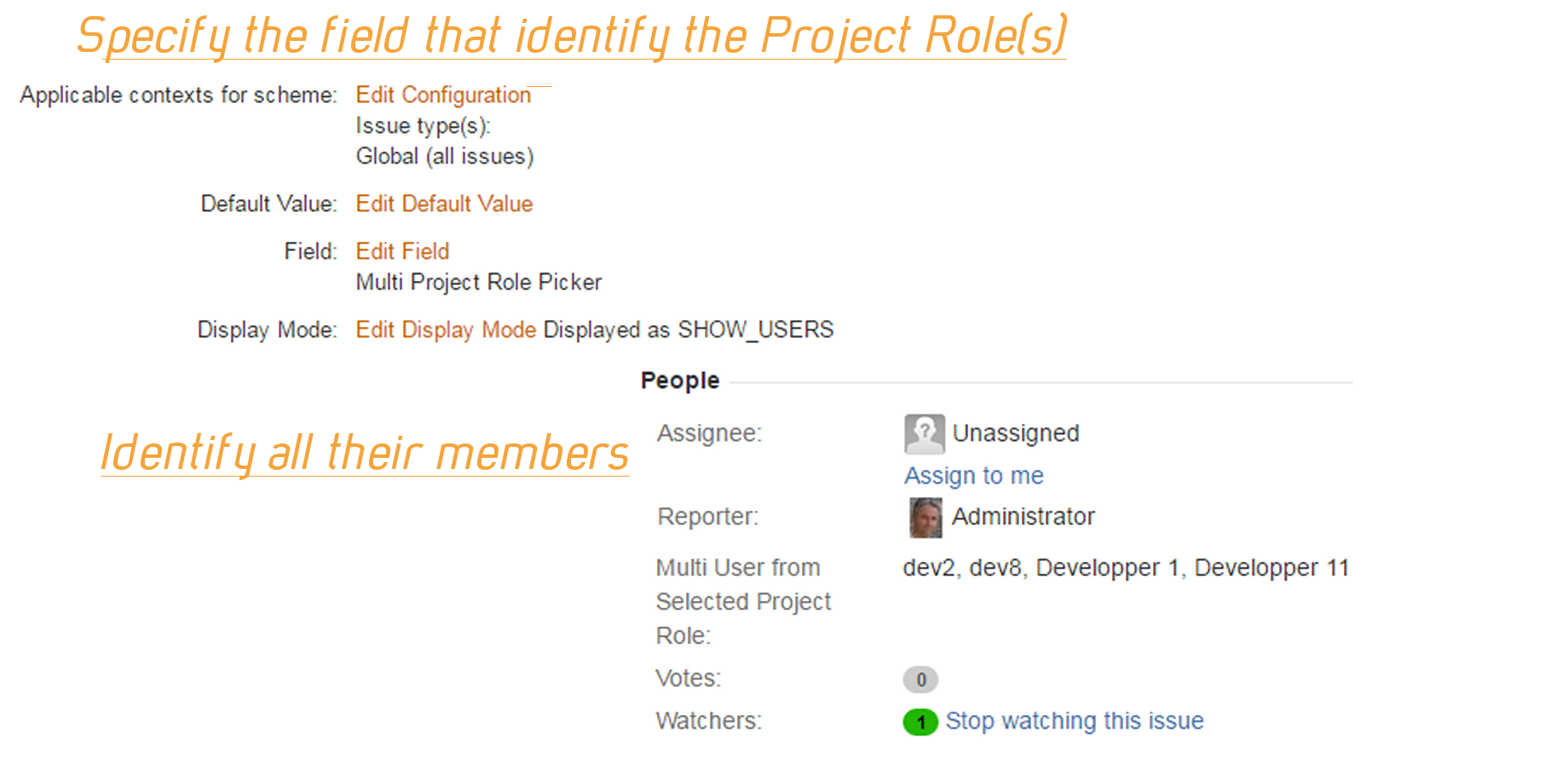 Identify Project Role members