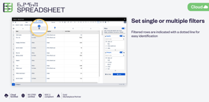 Set single or multiple filters for your tables