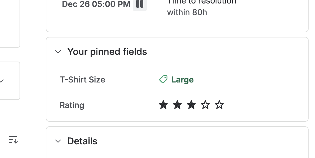 T-Shirt Size and Rating fields are ready to go