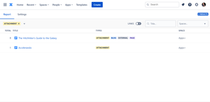 Filter by broken type: page, blog, attachment, space, web