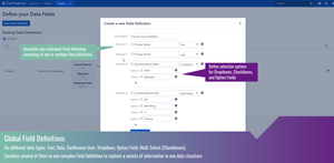 Create Field Definitions that fit your needs. Choose from various data types and combine them to a complex data structure.
