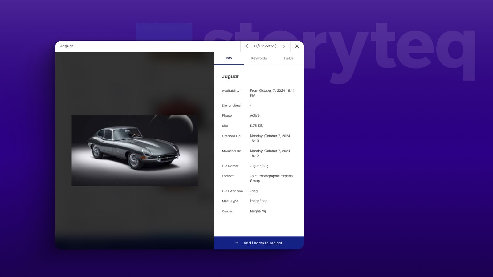 Asset Preview Panel