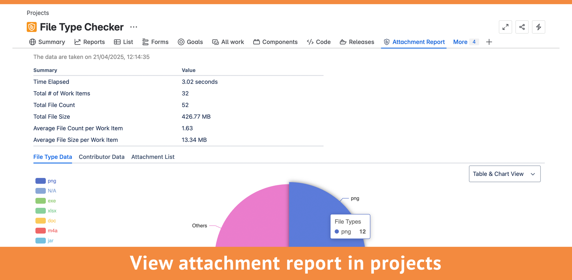 The report can help admins to analyse the types of files used by a project and identify non-compliance