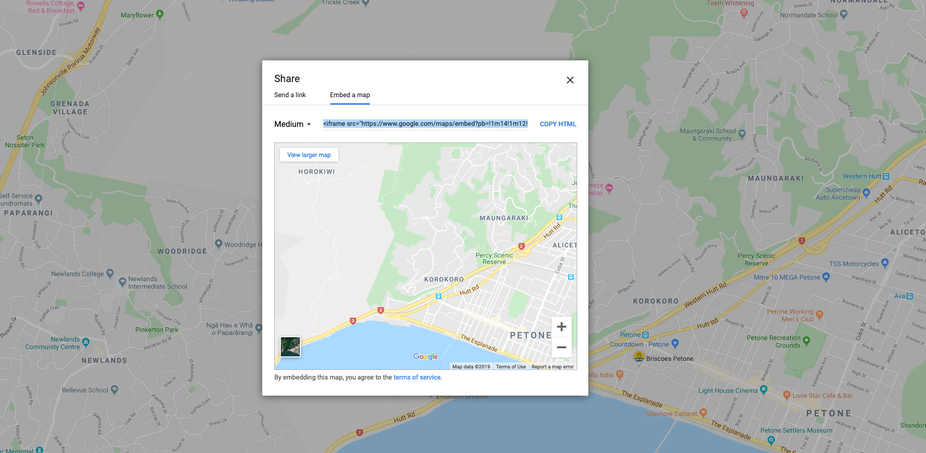Use the standard Google Maps share dialog - copy the iframe HTML as is