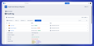 Insight Assets Backup & Migration: Audit Log