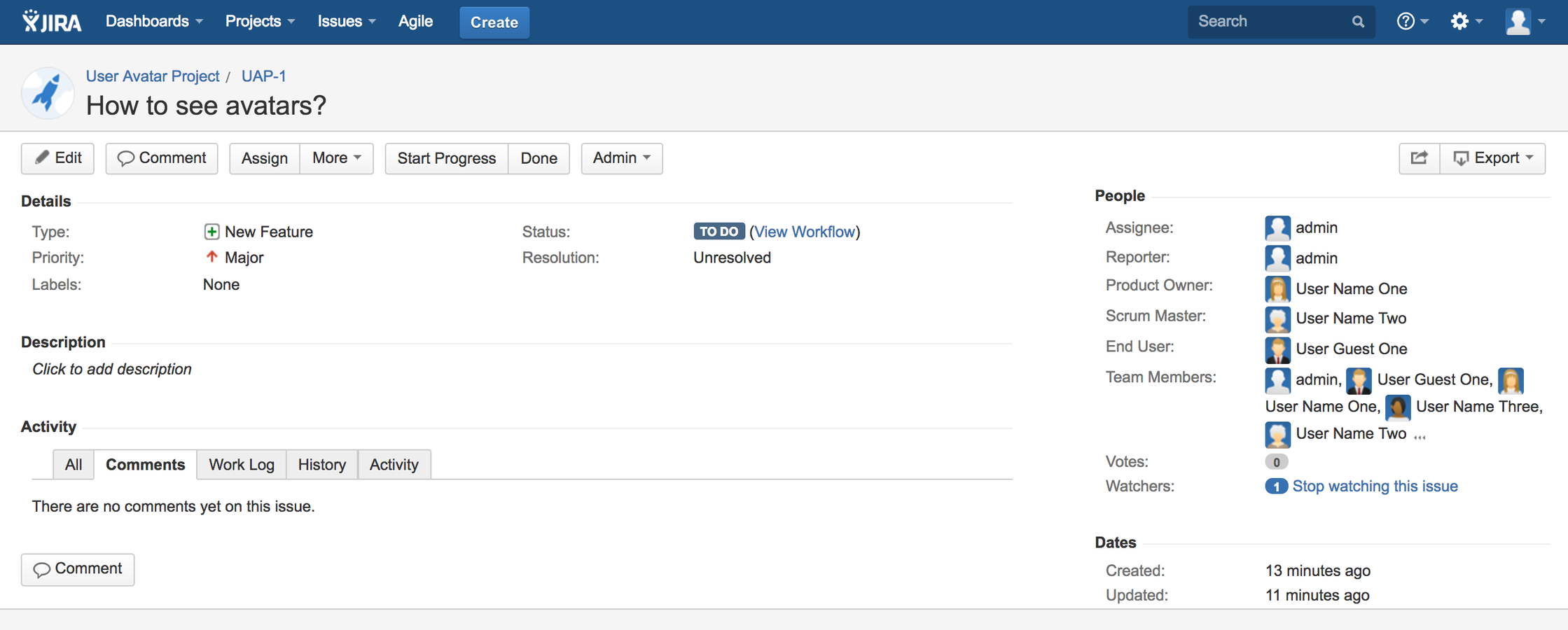 Issue View Screen
