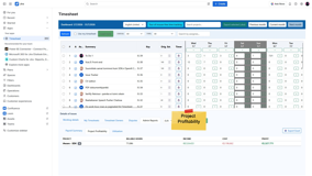 Project Profitability for admins.