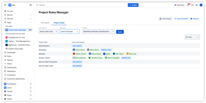 The Project Detail tab lets you query a specific project and view all its role assignments in one place — showing every role alongside assigned users and groups across your Jira instance.
