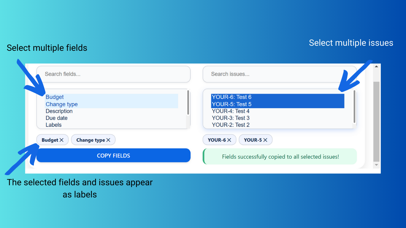 Your selected fields and issues appear under the select fields, and you can remove them with just a simple click on the label.
