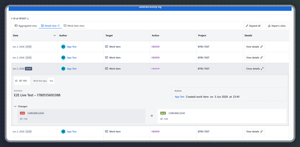 User Activity Audit Log app with generated results - detailed view