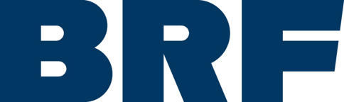 Brf Issue Tracking Workflow