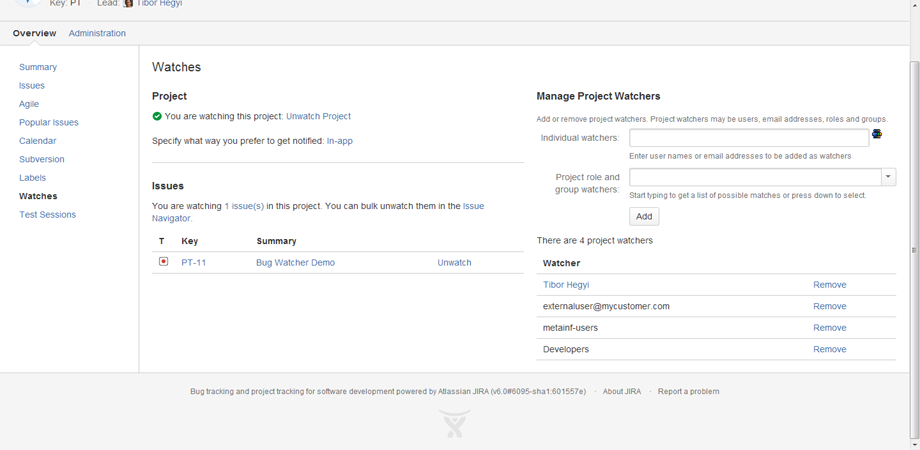 Watches project tab