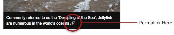 Link to your captions from the text