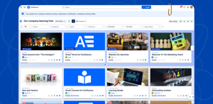 An easy-to-navigate catalog with filters