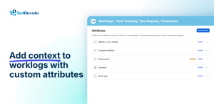 Define custom attributes nad time entry characteristics to better track what is important for your organization
