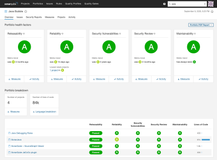 Access Code Quality & Security health metrics (including releasability) for your Portfolios