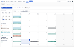 The monthly view